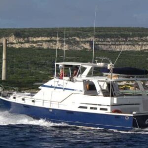A white and blue motor yacht cruises on deep blue water near cliffs and greenery. Enjoy a Deep Sea Fishing Charter (Half Day) as industrial buildings and a tall smokestack rise in the background.