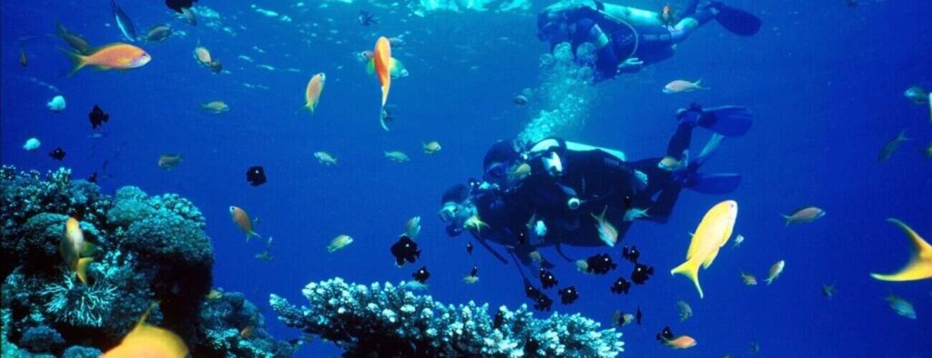 Twee duikers, gebrevetteerd met de PADI Gevorderd Open Water Duiker cursus, zwemmen langs een levendig koraalrif te midden van kleurrijke vissen en kristalhelder blauw water, bubbels stijgen op uit hun uitrusting terwijl ze de levendige onderwaterwereld ontdekken.