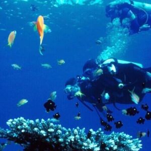 Two divers with PADI Advanced Open Water Diver certification swim by a coral reef, surrounded by yellow and orange fish. Bubbles rise as they explore clear blue water teeming with colorful coral and vibrant marine life.