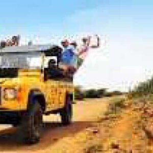 Montados en el Excursión Buggy Este amarillo, un grupo disfruta de una soleada aventura en el desierto entre altos cactus, recorriendo un camino de tierra. Algunos pasajeros saludan alegremente desde el techo mientras disfrutan de la emocionante experiencia todoterreno.