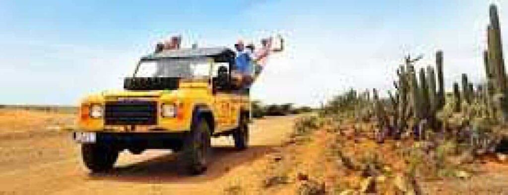 A Buggy West Tour off-road vehicle drives on a desert dirt path lined with tall cacti as several smiling people wave from the windows and roof beneath a bright blue sky.
