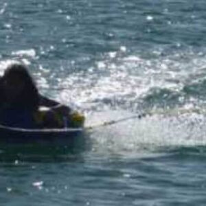 Experience the excitement of Bumper Tube Rides as you hold tight to the handles and race across the water, sunlight sparkling on the surface and a lively wake trailing behind you.