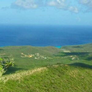 Rolling green hills lead to a deep blue ocean beneath a partly cloudy sky. Leafy branches and scattered houses accent the view near Christoffel Mountain—perfectly captured in "Climb the Christoffelberg," inspired by this top Curacao hiking spot.