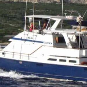 The Deep Sea Fishing Charter (Hele dag) is a blue and white motorboat with a covered cabin and railings, perfect for fishing adventures. It speeds across the water near greenery, industrial buildings, and hills along the distant shore.
