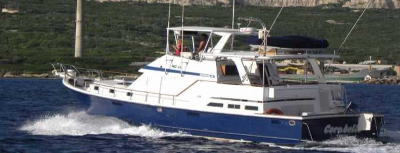 Een blauw-wit motorjacht genaamd "Cropalati" cruist rustig met twee mensen aan boord, ideaal voor een Diepzeevis Charter (Hele dag), tegen een heuvelachtige, groene kustlijn met gebouwen en een hoge schoorsteen op de achtergrond.