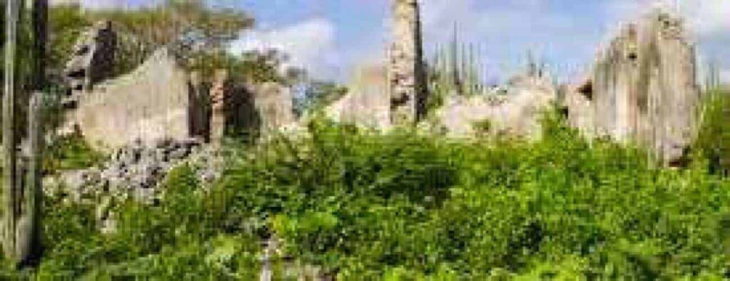 Experience the Deer spotting Hike: wander among ancient stone ruins overgrown with lush vegetation and tall cacti beneath a partly cloudy sky—ideal for scenic hikes and wildlife watching, with great chances to spot deer in this abandoned site.