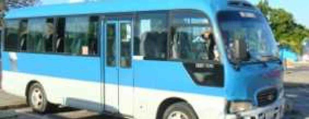 The Discover Island (by bus), a small light blue and white bus with large windows and a front door by the driver, is parked outdoors in a sunny area with trees and a clear sky in the background.