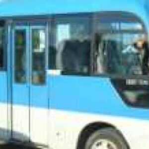The Discover Island (by bus), a small light blue and white bus with large windows and a front door by the driver, is parked outdoors in a sunny area with trees and a clear sky in the background.