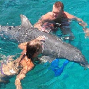 Two people in swimwear enjoy a Dolphin Encounter, interacting playfully with a dolphin in clear blue water. One touches the dolphin’s side while the other supports it, with blue swim fins nearby for an interactive experience.