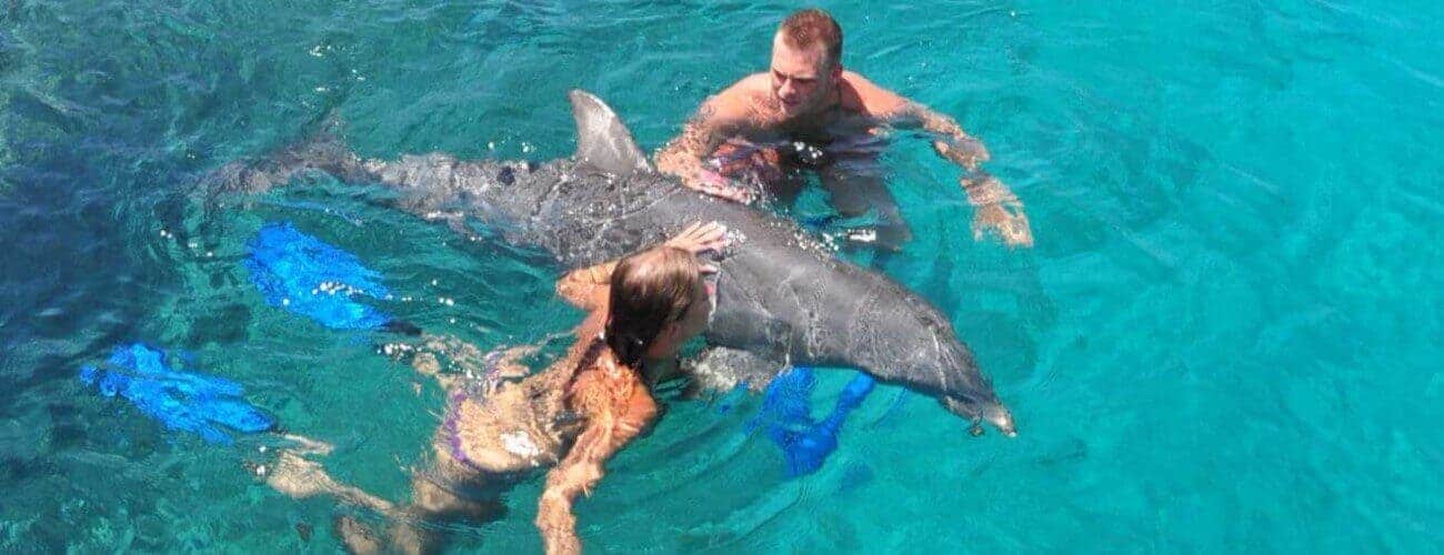 Two people in swimwear enjoy a Dolphin Encounter, interacting playfully with a dolphin in clear blue water. One touches the dolphin’s side while the other supports it, with blue swim fins nearby for an interactive experience.