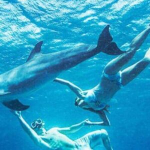 Two snorkelers in swimwear and fins free dive underwater with a dolphin. Sunlight filters through clear blue water, capturing the playful interaction in the ocean’s depths. Experience the adventure with Dolphin Free Dive.