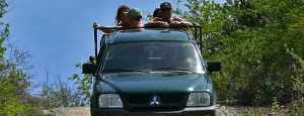 Three people enjoy Driving on a dirt path in a dark green SUV, surrounded by dense green trees and bushes under a clear blue sky. They sit atop the vehicle holding onto the roof rack as it moves forward.
