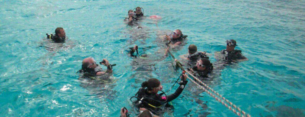 A group of scuba divers in wetsuits and masks float in clear water on a Duiktrip Oostpunt, holding a rope and forming a circle as they prepare their gear for training.