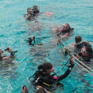 A group of scuba divers in wetsuits and masks float in clear water on a Duiktrip Oostpunt, holding a rope and forming a circle as they prepare their gear for training.