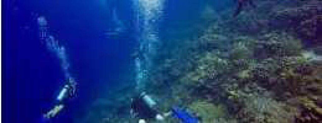 Four scuba divers swim near a coral reef during an Eastpoint dive, with sunlight filtering through blue water and bubbles rising as they explore the vibrant marine environment.