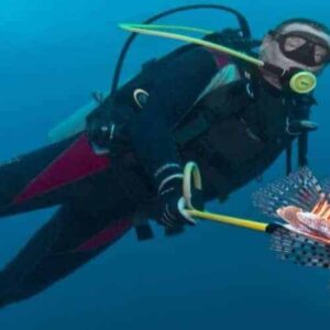 During the Guided dive at Cas Abao house reef, a diver in wetsuit and gear swims through clear, deep blue water, holding a pole with a vibrant lionfish and showing off its long, striped fins.
