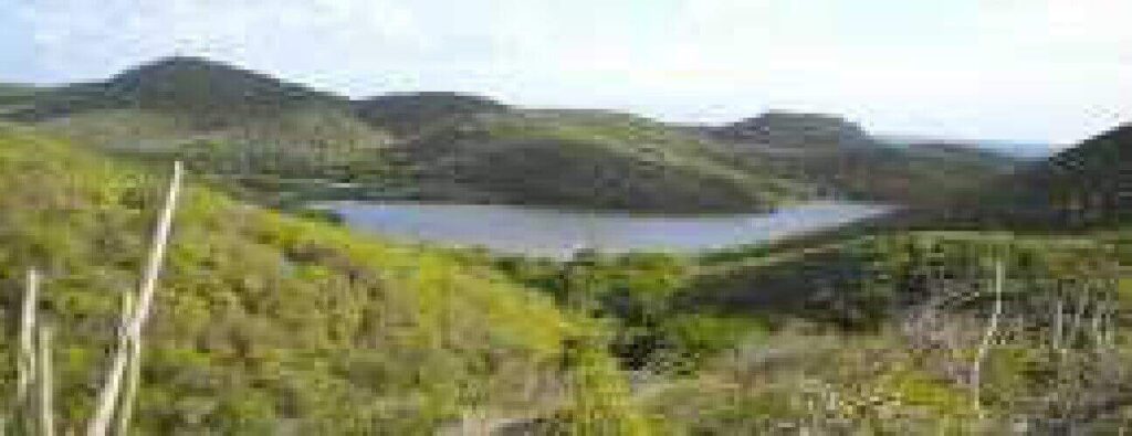 A tranquil lake bordered by green hills and shrubs under a partly cloudy sky creates an ideal spot for relaxation or as a starting point for your Guided Mountain Climb adventure in the nearby highlands.