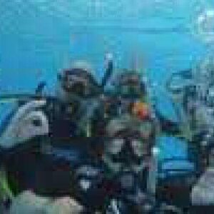 Four scuba divers in full gear pose underwater in a blue pool, waving and making hand signals as they celebrate earning their "Haal je brevet NAUI/Padi" certification.