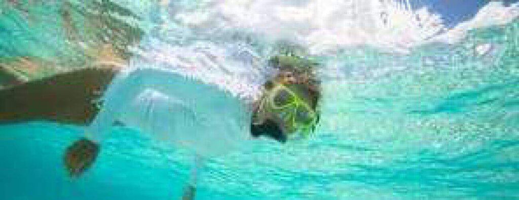 A person wearing a snorkel mask and white shirt swims underwater in clear turquoise water, sunlight streaming above, on a Half day snorkel trip by boat.