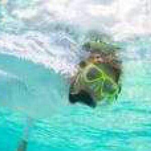 A person wearing a snorkel mask and white shirt swims underwater in clear turquoise water, sunlight streaming above, on a Half day snorkel trip by boat.