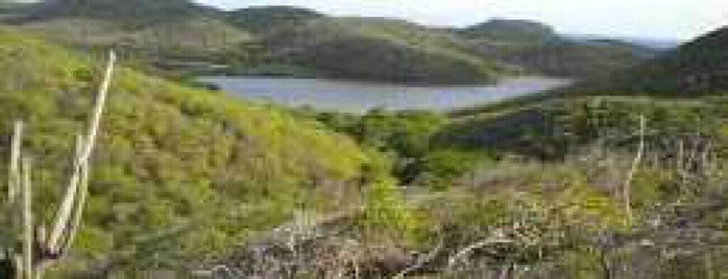 Explore scenic landscapes while hiking 8 different trails in Christoffelpark, surrounded by rolling green hills, a calm lake, sparse branches up close, lush trees midground, and clear skies with distant hills on the horizon.