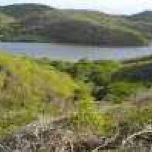 Explore scenic landscapes while hiking 8 different trails in Christoffelpark, surrounded by rolling green hills, a calm lake, sparse branches up close, lush trees midground, and clear skies with distant hills on the horizon.