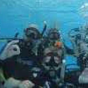Five people in scuba gear are underwater in a clear blue swimming pool, participating in an Intro Dive. Wearing masks and tanks, they sit or kneel on the pool floor with bubbles rising. One person on the right waves at the camera.