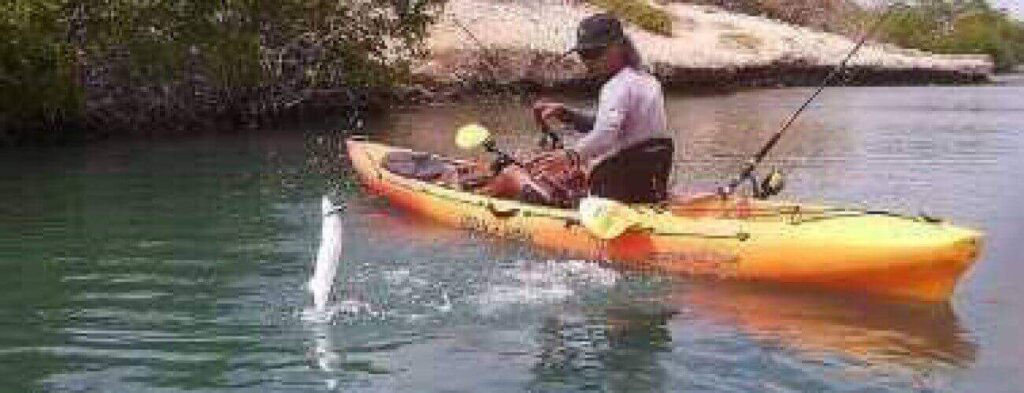 Enjoy the Kayak Fishing Adventure in calm waters near green bushes. Wearing a hat and sunglasses, an angler in a yellow kayak reels in a jumping fish as their fishing gear rests close by.