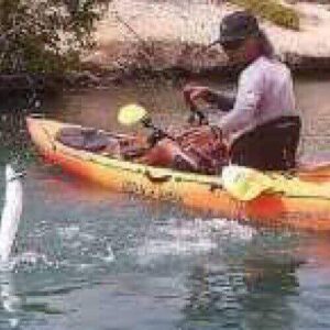 Enjoy the Kayak Fishing Adventure in calm waters near green bushes. Wearing a hat and sunglasses, an angler in a yellow kayak reels in a jumping fish as their fishing gear rests close by.