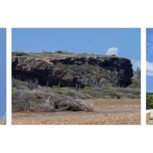 A collage depicts: left, parrots on cacti; center, rocky cliffs and dry brush featured in the Natural Treasures of Curacao Jeep Tour; right, a yellow building with white trim and a red roof.