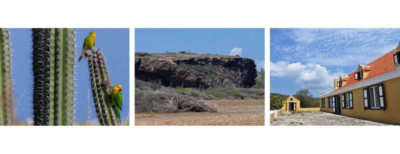 A collage depicts: left, parrots on cacti; center, rocky cliffs and dry brush featured in the Natural Treasures of Curacao Jeep Tour; right, a yellow building with white trim and a red roof.