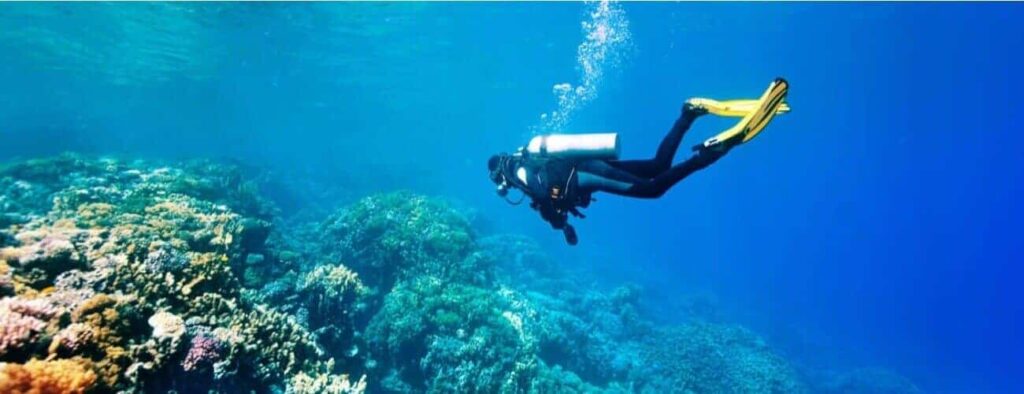 A PADI Open Water Diver explores a vibrant coral reef, surrounded by clear blue water, colorful marine life, and bubbles rising from their tank.