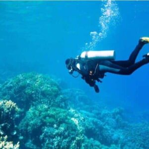 A PADI Open Water Diver explores a vibrant coral reef, surrounded by clear blue water, colorful marine life, and bubbles rising from their tank.