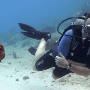 Wearing a wetsuit and mask, a scuba diver takes the PADI Open Water Course, swimming near orange coral on a sandy seabed with rocks and corals. Clear blue water surrounds the diver as they look at the camera.