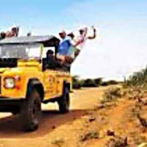 A Pickup safari full vehicle drives down a dusty desert road lined with tall cacti and rocks. Several people smile and wave from the open roof under a clear blue sky.