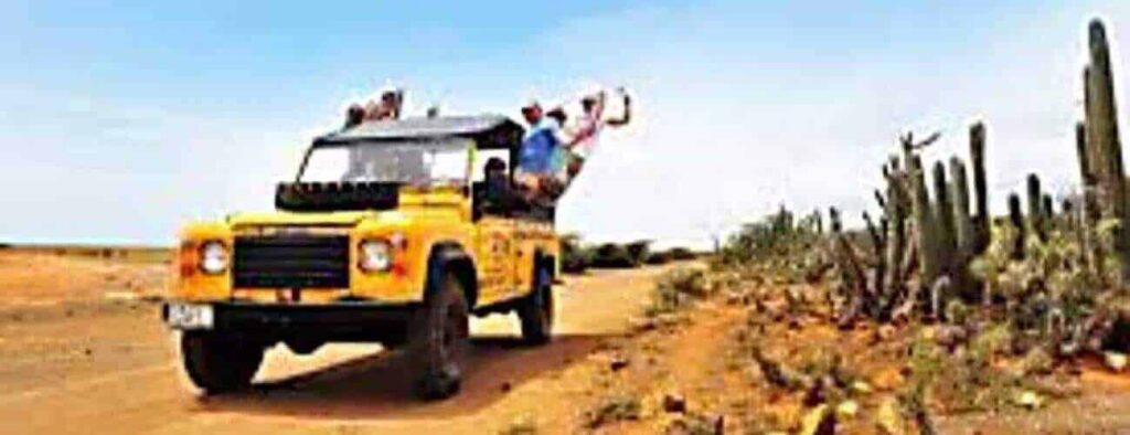 The Pickup Safari one side travels a dusty desert road as passengers in hats wave and smile from one side. Under a blue sky, large cacti and sparse shrubs line the right, creating an adventurous atmosphere.
