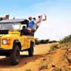 The Pickup Safari one side travels a dusty desert road as passengers in hats wave and smile from one side. Under a blue sky, large cacti and sparse shrubs line the right, creating an adventurous atmosphere.