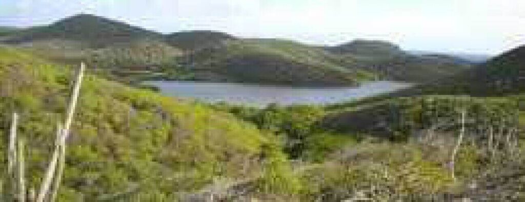 Experience sweeping views of Curacao's green hills and lake near the Savonet Museum on the Savonet History Tour—lush trees, reflecting water, and dry grasses create a picturesque scene.