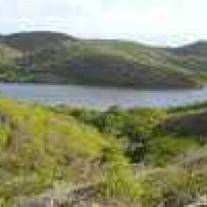Experience sweeping views of Curacao's green hills and lake near the Savonet Museum on the Savonet History Tour—lush trees, reflecting water, and dry grasses create a picturesque scene.