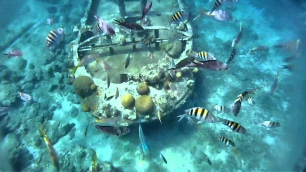 A Snorkeling Trip reveals a sunken boat draped in coral, surrounded by colorful fish—including yellow and black striped ones—swimming above the sandy ocean floor in clear blue water.