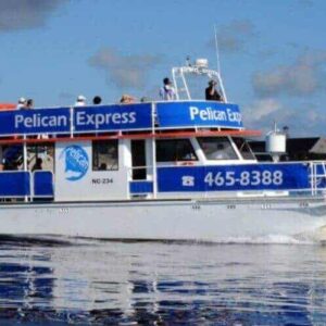 The Sunset the West, a blue and white passenger boat, cruises west on calm water near a pastel-colored coastal town at sunset, with its phone number 465-8388 displayed on the side.