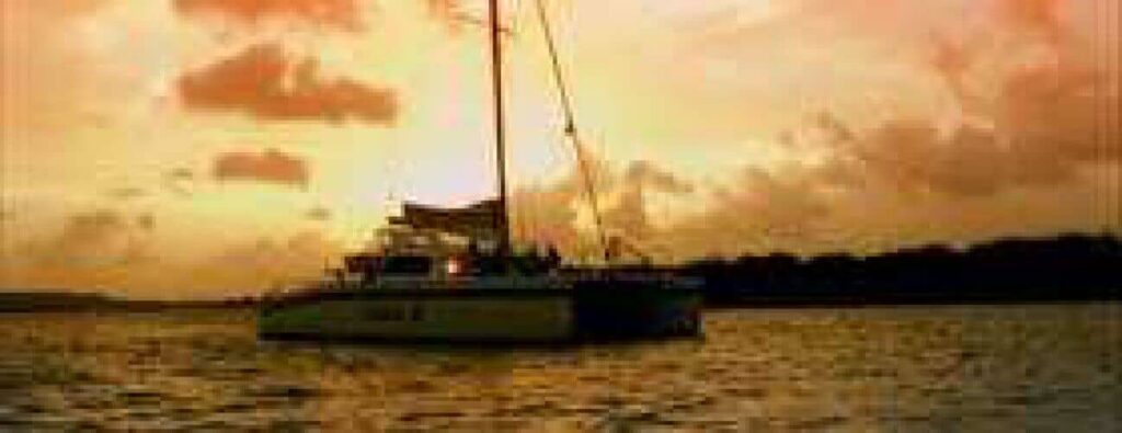 Experience tranquil moments on our Sunset Tour as a sailboat drifts on calm waters beneath a glowing orange and yellow sky. Silhouetted trees line the horizon, creating a peaceful and scenic evening escape.