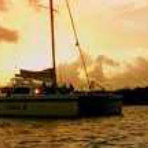 Experience tranquil moments on our Sunset Tour as a sailboat drifts on calm waters beneath a glowing orange and yellow sky. Silhouetted trees line the horizon, creating a peaceful and scenic evening escape.