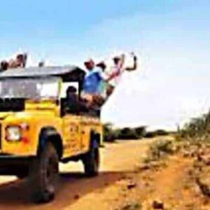 A bright yellow off-road jeep drives through the desert at sunrise on a Sunset/Sunrise safari. Two people sit on the roof, arms raised and smiling, surrounded by tall cacti and dry shrubs for an adventurous atmosphere.