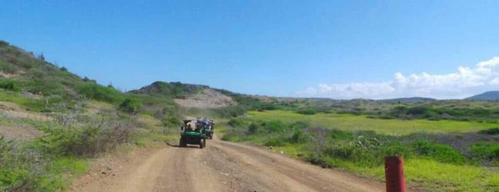 Een onverharde weg slingert door groene heuvels onder een heldere hemel terwijl een kleine terreinwagen van De Hangover Buggy Trip wegrijdt. Schaarse struiken en gras omzomen de route, met op de voorgrond een rode paal langs de weg.