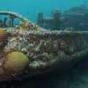 A submerged, rusted car encrusted with barnacles and marine growth rests near the TRIP TUGBOAT & FUIK wreck, surrounded by blue-green water and natural sea life in low visibility on the ocean floor.