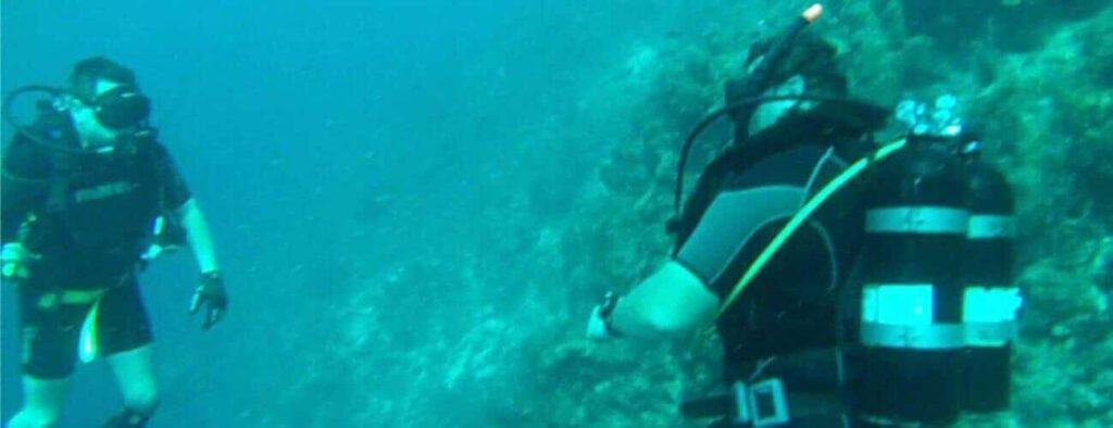 Two scuba divers in wetsuits participate in a Tugboat dive Excursion, swimming near a rocky reef with oxygen tanks, masks, and fins. The blue water is slightly murky as they face each other, surrounded by visible marine life.