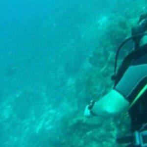 Two scuba divers in wetsuits participate in a Tugboat dive Excursion, swimming near a rocky reef with oxygen tanks, masks, and fins. The blue water is slightly murky as they face each other, surrounded by visible marine life.