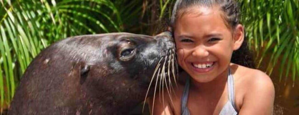A cheerful young girl in a gray swimsuit enjoys the Zeeleeuwen Encounter as a sea lion nuzzles her cheek, with lush green palm leaves in the background creating a joyful and adventurous vibe.