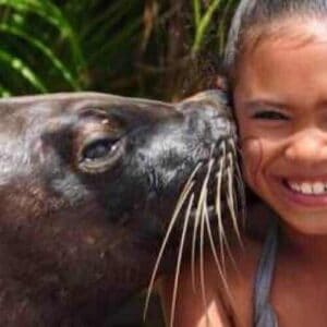 A cheerful young girl in a gray swimsuit enjoys the Zeeleeuwen Encounter as a sea lion nuzzles her cheek, with lush green palm leaves in the background creating a joyful and adventurous vibe.